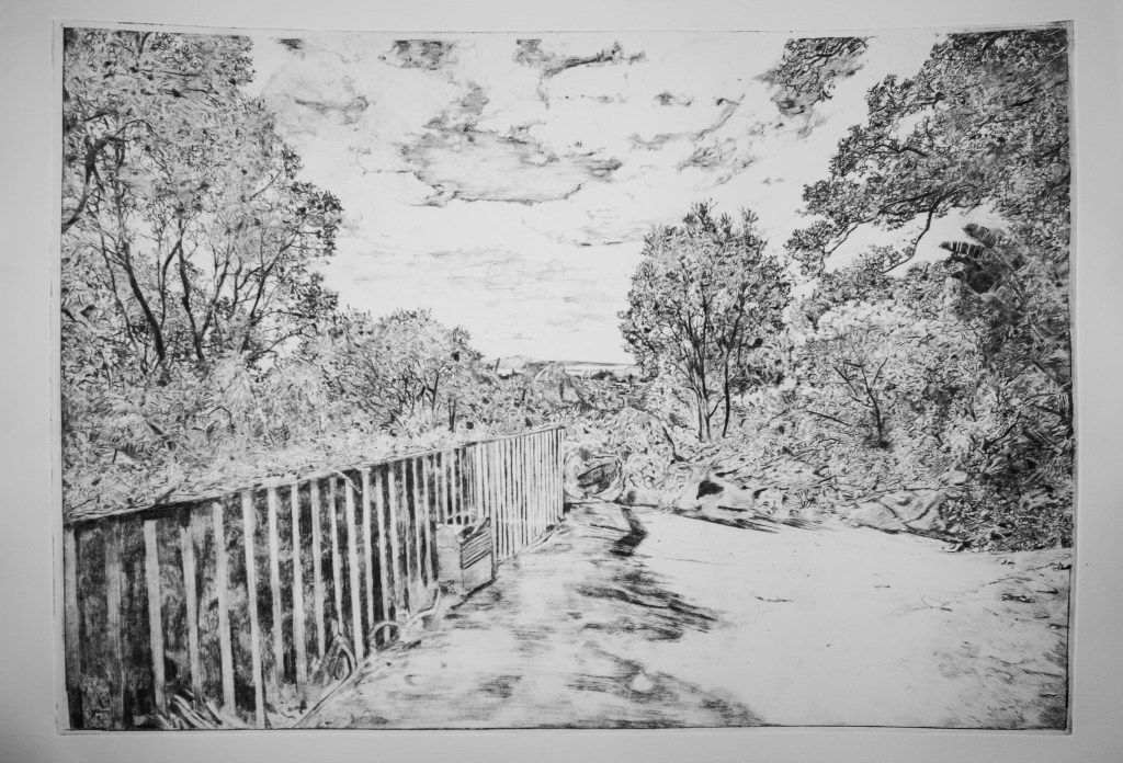 Black and white hyperrealistic pencil drawing depicting a scenic pathway bordered by a wooden fence, with lush foliage and trees on either side and a cloudy sky above.