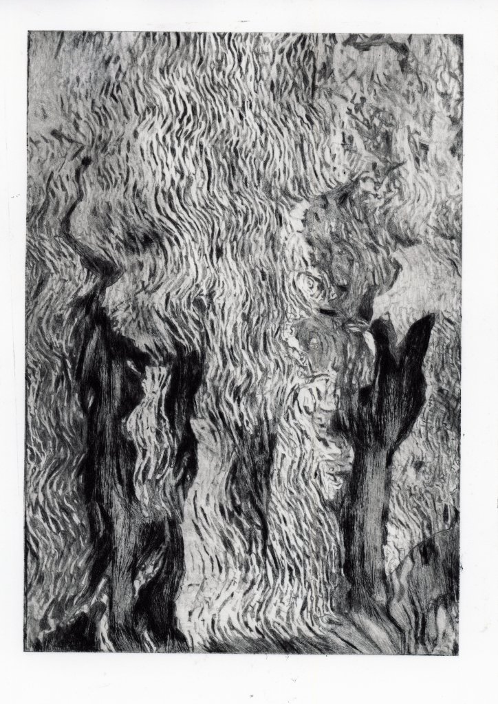 A black and white abstract drawing featuring flowing, textured lines resembling fur or foliage.