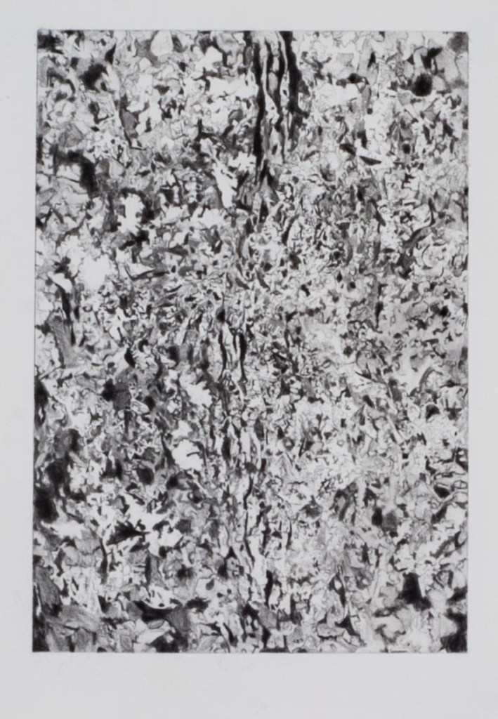 Abstract black and white artwork with intricate textures and patterns.