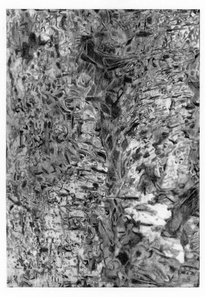 Abstract monochrome drawing with intricate textures and patterns, resembling organic forms and chaotic lines.