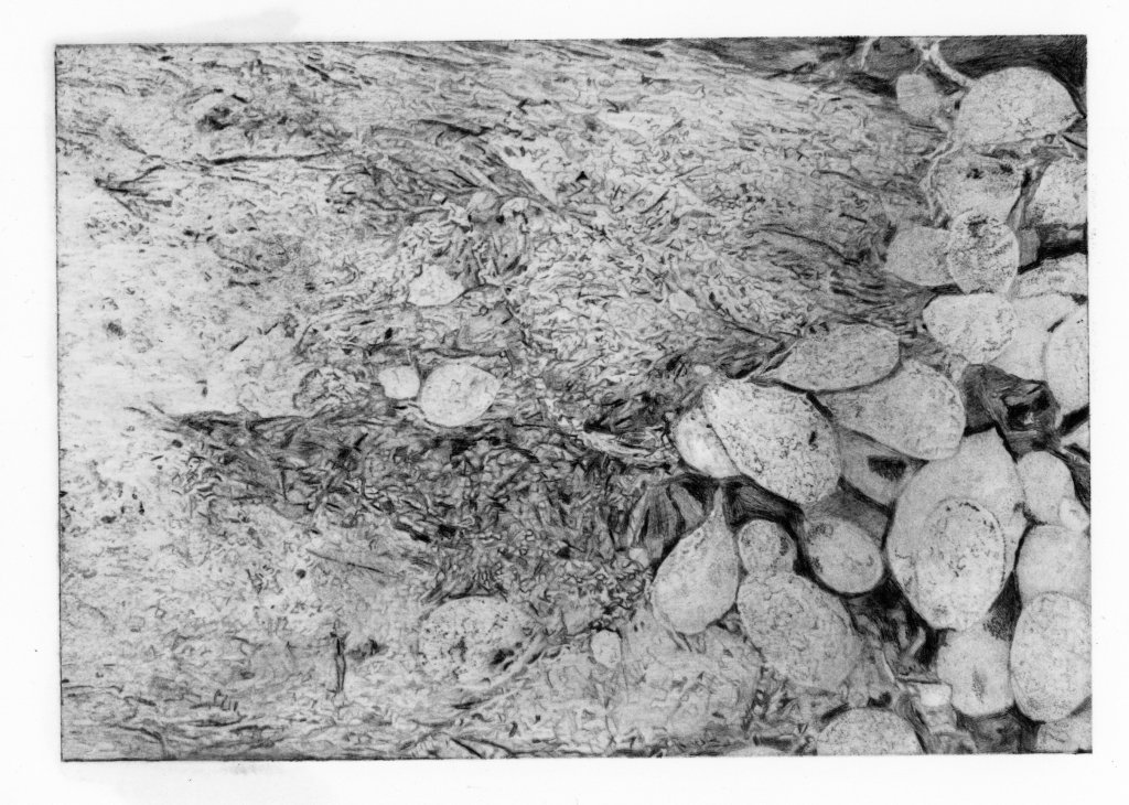 Black and white image depicting a textured surface with various shapes and forms resembling stones and organic materials.
