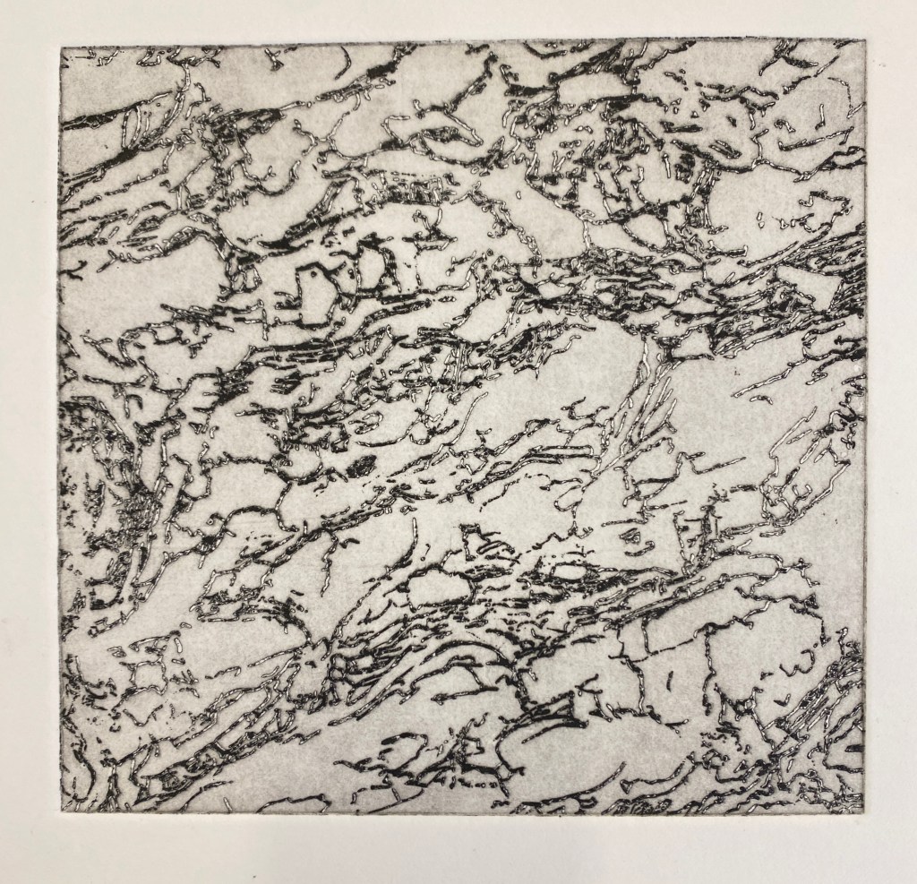 A detailed etching print showcasing intricate line work and textured patterns resembling natural elements.