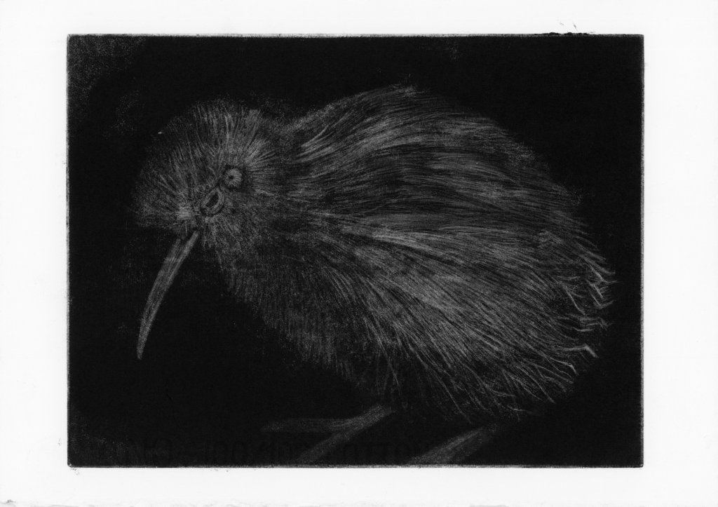 An intricate print of a kiwi bird rendered in a detailed etching style, with soft textures against a dark background.