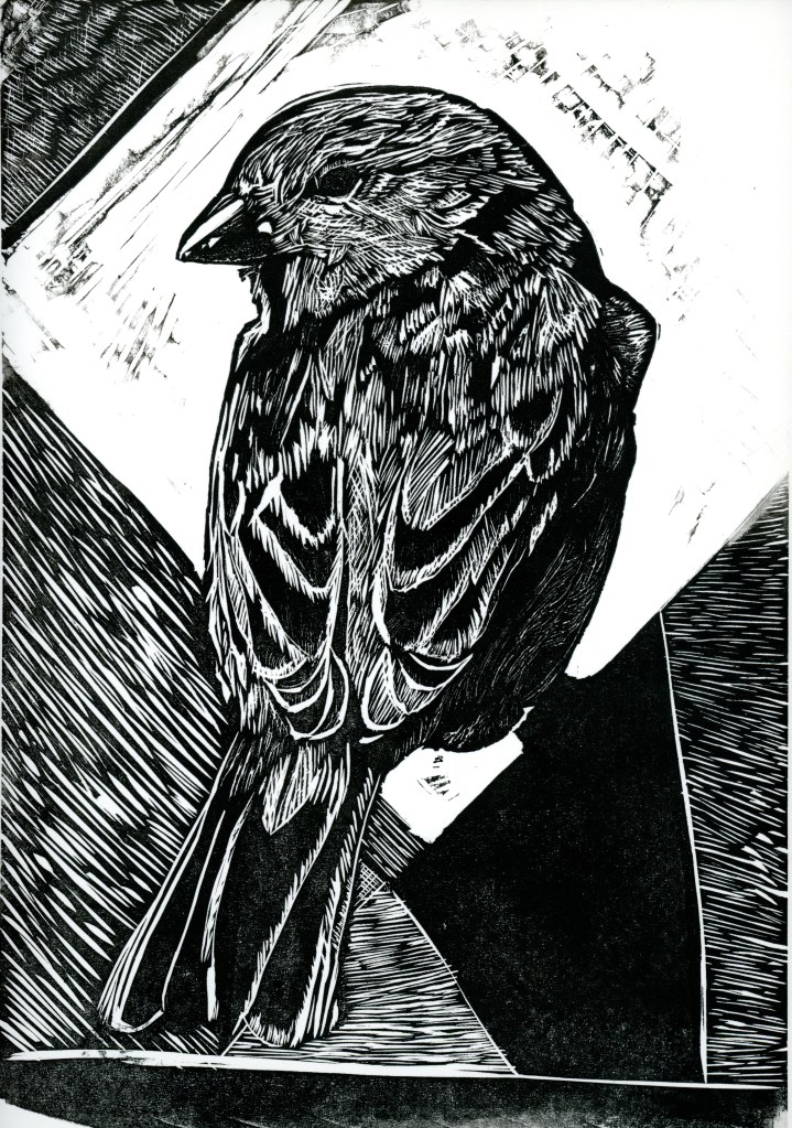 Black and white print depicting a detailed representation of a bird in profile, showcasing intricate line work and textures.